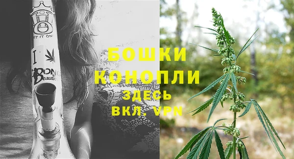 мескалин Богданович
