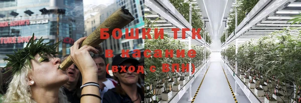 мескалин Богданович