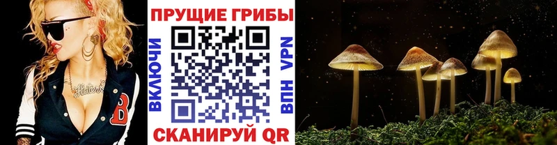 Галлюциногенные грибы MAGIC MUSHROOMS  хочу   Верхняя Тура 